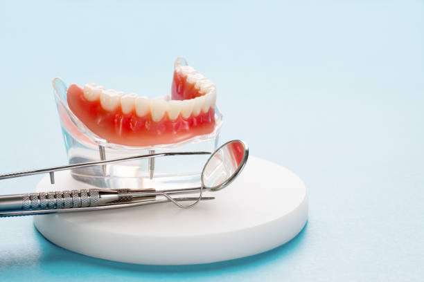 Trusted White House, TN Holistic Dental Care Services Experts